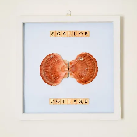 Finest Retreats - Scallop * Porthleven